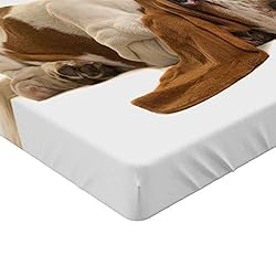 Ambesonne Basset Hound Fitted Sheet, Long Eared Dog