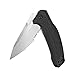 Kershaw Link Serrated Folding Pocket Knife (1776ST); 2-Step Serrated 3.25” 420HC Stainless Steel Blade, Glass-Filled Nylon Handle with SpeedSafe Assisted Opening, Flipper, Reversible Pocketclip; 4 OZ.