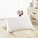 ALASKA BEAR Silk Pillowcase for Hair and Skin, Grade 6A 100% Mulberry Silk Pillow Cases King Size for Bliss Sleep with Random Color Scrunchy Set Better Than Poly Satin, 1pc, Natural Ivory White