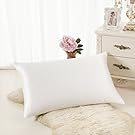 ALASKA BEAR Natural Silk Pillowcase, Hypoallergenic, 19 momme, 600 thread count 100 percent Mulberry Silk, King Size with hidden zipper (1, Ivory(Natural Undyed White))