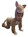 VMC Gruffalo Big Bad Mouse Childrens Costume Age 3-5 Years World Book Day