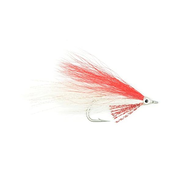 The-Fly-Fishing-Place-Leftys-Deceiver-Fly-Fishing-Flies-Collection-Assortment-of-4-Saltwater-and-Bass-Flies-Hook-Size-10