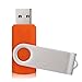 RAOYI 10PCS 2GB USB Flash Drive Orange Pen Drive Thumb Drive USB 2.0 Memory Stick Swivel Design
