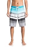 Quiksilver Everyday Stripe 21 Boardshorts Mens