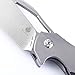 KIZER Cutlery Folding Pocket Knives Flipper Knife Stonewashed Wharncliffe Blade and Titanium Handles Tactical EDC Knife, Elijah Isham Megatherium Ki4502A1