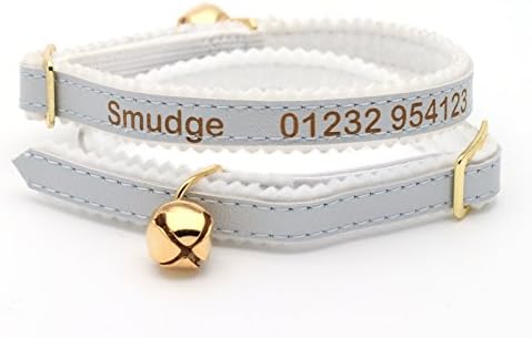 dog friendly luxury lodges with hot tubs