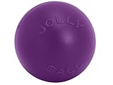 Jolly Pets 10-Inch Push-n-Play, Purple