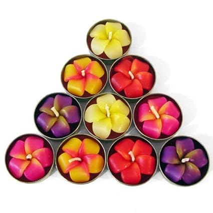 Siesta Lot De 10 Bougies Chauffe Plats Parfum Fleur De Frangipanierbougies