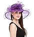 SAFERIN Women's Organza Church Kentucky Derby Fascinator Bridal Tea Party Wedding Hat
