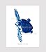 Gnosis Picture Archive Blue Sea Turtles Decor Art Prints Set of 4 Unframed Beach Coastal Decor Wall Art