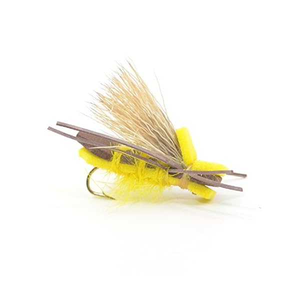 6-Foam-Body-Hopper-Grasshopper-Trout-Fly-Fishing-Flies-Assortment-6-Flies-3-Patterns-Hook-Size-10-Trout-Fly-Collection 6-Foam-Body-Hopper-Grasshopper-Trout-Fly-Fishing-Flies-Assortment-6-Flies-3-Patterns-Hook-Size-10-Trout-Fly-Collection