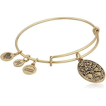 Friends bangle bracelet alex and ani