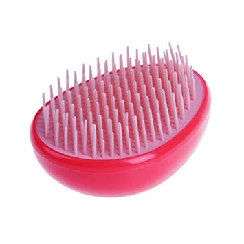 Buy Hitsan Incorporation 12 Types Hair Brush Comb Hairbrush Anti