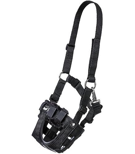Véritable museau de chien en cuir Anti mordant chiens Traning museau