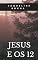 Livro Jesus e os 12