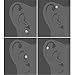 bodyjewellery 2pcs 16g 1/4 Cartilage Earring Stud Flower Barbell Forward Heilix Tragus Lobe Auricle Cartilage Bar Surgical Steel - Steel