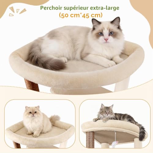 Globlazer Beige XXL Cat Tree Corner for Large Cats 204 cm with 2 Large Kennels 45 x 30 x 30 cm, Huge Platform, Sisal Board, Basket, Stable Cat Trees Indoor Rest Scratching Playing (C80, Beige)