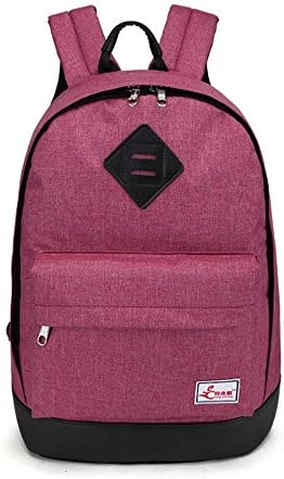 Travel Backpack 40L Flight Approved Carry on Backpack Made in china