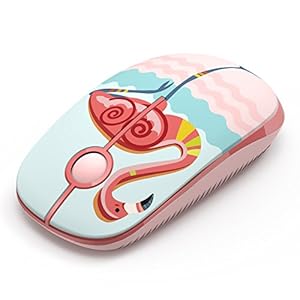 Wireless-Mouse-Jelly-Comb-MS001-24G-Computer-Mice-with-Nano-Receiver-for-PCDesktopLaptop-with-USB-ports-and-WindowsMacLinux-Silent-Smooth-Basic-Design-Flamingo Wireless Mouse, Jelly Comb MS001 2.4G Computer Mice with Nano Receiver for PC/Desktop/Laptop (with USB ports) and…