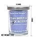 Beyond Your Thoughts Scented Candle Aromatherapy Wax Mixed Popular Long Lasting Ocean Breeze&Orangeblossom Fragrances 8ozthumb 3