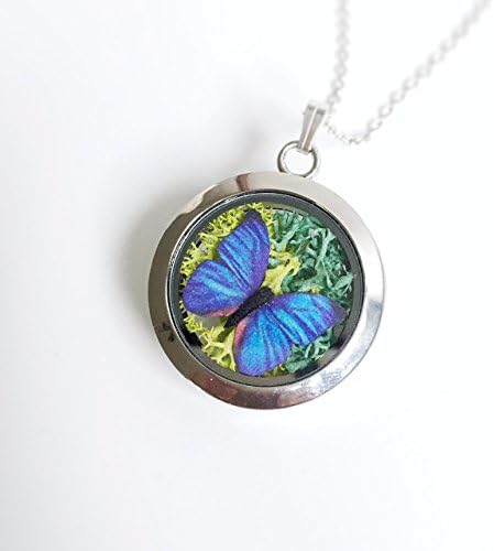 Blue Morpho Butterfly Necklace, Floating Locket Charm, Glass Frame, Mori Girl, Kid, Natural Woodland, Wish, Dried Flower, Green Antler Moss