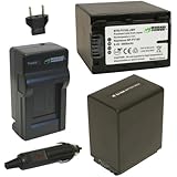 Wasabi Power Battery (2-Pack) and Charger for Sony NP-FV100 and Sony DCR-SR15, SR21, SR68, SR88, SX15, SX21, SX44, SX45, SX63, SX65, SX83, SX85, FDR-AX100, HDR-CX105, CX110, CX115, CX130, CX150, CX155, CX160, CX190, CX200, CX210, CX220, CX230, CX260V, CX290, CX300, CX305, CX330, CX350V, CX360V, CX380, CX430V, CX520V, CX550V, CX560V, CX580V, CX700V, CX760V, CX900, HC9, PJ10, PJ30V, PJ50, PJ200, PJ230, PJ260V, PJ340, PJ380, PJ430V, PJ540, PJ580V, PJ650V, PJ710V, PJ760V, PJ790V, PJ810, TD10, TD20V, TD30V, XR150, XR155, XR160, XR260V, XR350V, XR550V, HXR-NX3D1U, NX30U, NX70U, NEX-VG10, VG30, VG30H, VG900