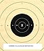 25 Yard Timed and Rapid Fire Repair Center Pistol Target Official NRA Target B-8(CT) (100 Pack)