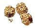 LAFEBER'S Pellet-Berries Pet Bird Food, Made with Non-GMO and Human-Grade Ingredients, for Parakeets (Berry 10 oz)