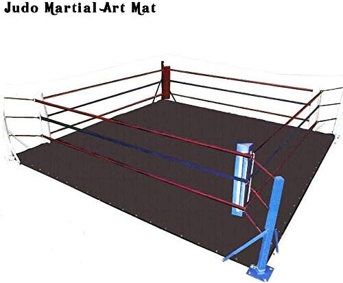 Celebrita Wrestling Boxing MMA Ring Floor Canvas Mat/Exercise, Gymnastic & Judo Martial Art Mat - NO Ring Included