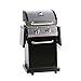 MASTER COOK Professional 2-Burner Liquid Propane Gas Grill