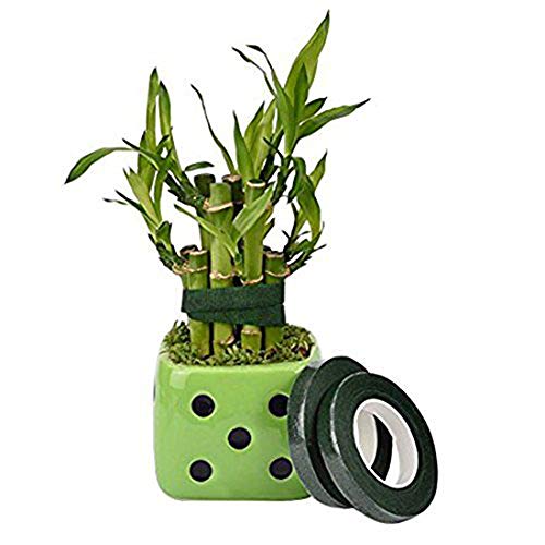 3 Rolls Flower Paper Tape with 50 Pieces Floral Stem Wire 16 Inch for Bouquent Stem Wrapping and Crafts, Dark Green