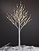 Lightshare 6FT 72L LED Birch Tree,Warm White