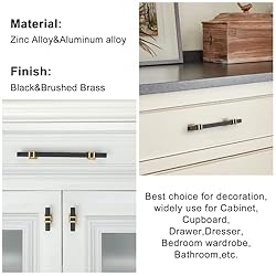 Lepatape 5 Pack 3-3/4inch Black and Gold Cabinet