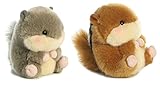 Aurora Bundle of 2 5