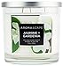 Aromascape 3-Wick Scented Jar Candle, Jasmine & Gardenia