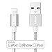Lizone Nylon Braided USB Cable - 6 Feet - Silver (MFI Apple Certified)