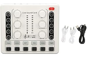 Live Sound Card with Ambient Light Function, Professional Audio Mixer for DJ Mixer, Music Studio Recording.