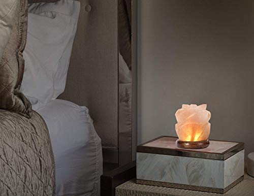 Niubity Himalayan Pink Natural Salt Lamp,USB Wooden Base Himalayan Crystal Rock Salt Lamp Air Purifier Night Light (Rose)