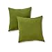Greendale Home Fashions Outdoor Accent Pillows, Summerside Green, Set of 2