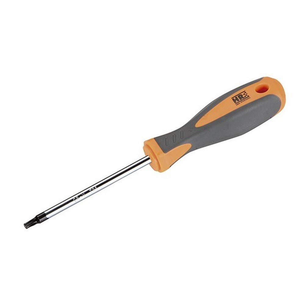 RH 170442 Torx Screwdriver, Grey/Orange, T20 x 100 mm