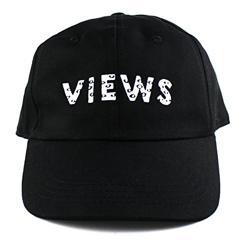 Views 6 Panel Dad Hat