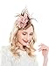 Fascinators Headband for Women Tea Party Hat Kentucky Derby Wedding Flower Mesh Feathers Hair Clip (Coffee)