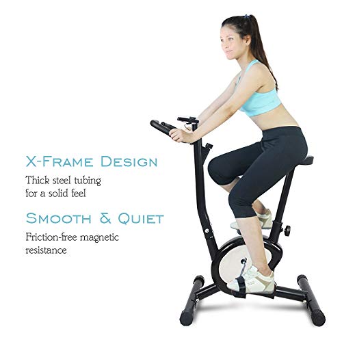 Apelila Exercise Bike Stationary Bike,Cardio Trainer Spinning Bicycle Indoor Cycling Bike (Black+WH)