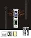 CENLUX Digital Voice Recorder 8GB MP3 Player with Headphones VOR Noise Cancellation Rechargeable Support Micro SD Expansion