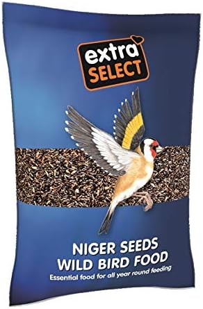 Extra Select Niger Seed Wild Bird Food, 1 kg, 1 kg (Pack of 1)