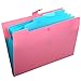 SKYDUE Letter A4 Paper Expanding File Folder Pockets Accordion Document Organizer (Fuchsia)