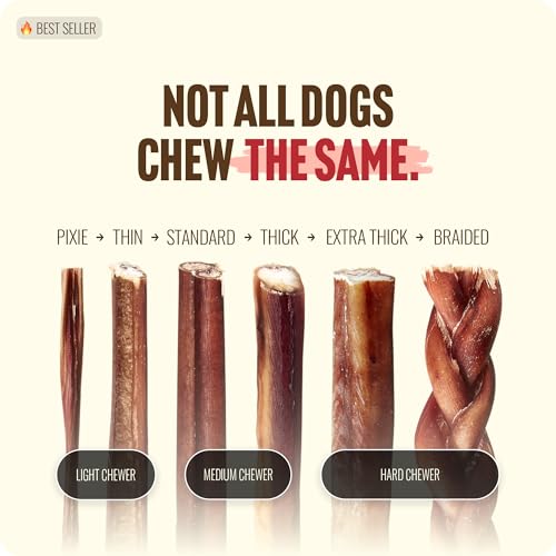 Natural Farm Extra-Thick 12-Inch Beef Bully Sticks Dog Chews (10-Pack) - Odor-Free Dental Treats for Dogs