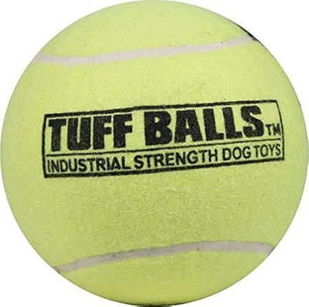 dog ate tennis ball fuzz