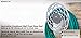 RAINWAVE Aluminum Non-Rust Wall Fixed Hose Reel, Gray (RW-DAHH-17H)