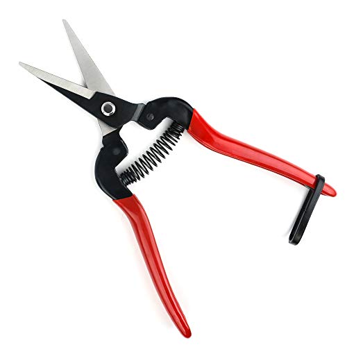 FLORA GUARD Pruning Shears, Micro-Tip Pruning Snip Straight Pruning Shears Florist Scissor with Carbon Steel Blades for Arranging Flowers, Trimming Plants